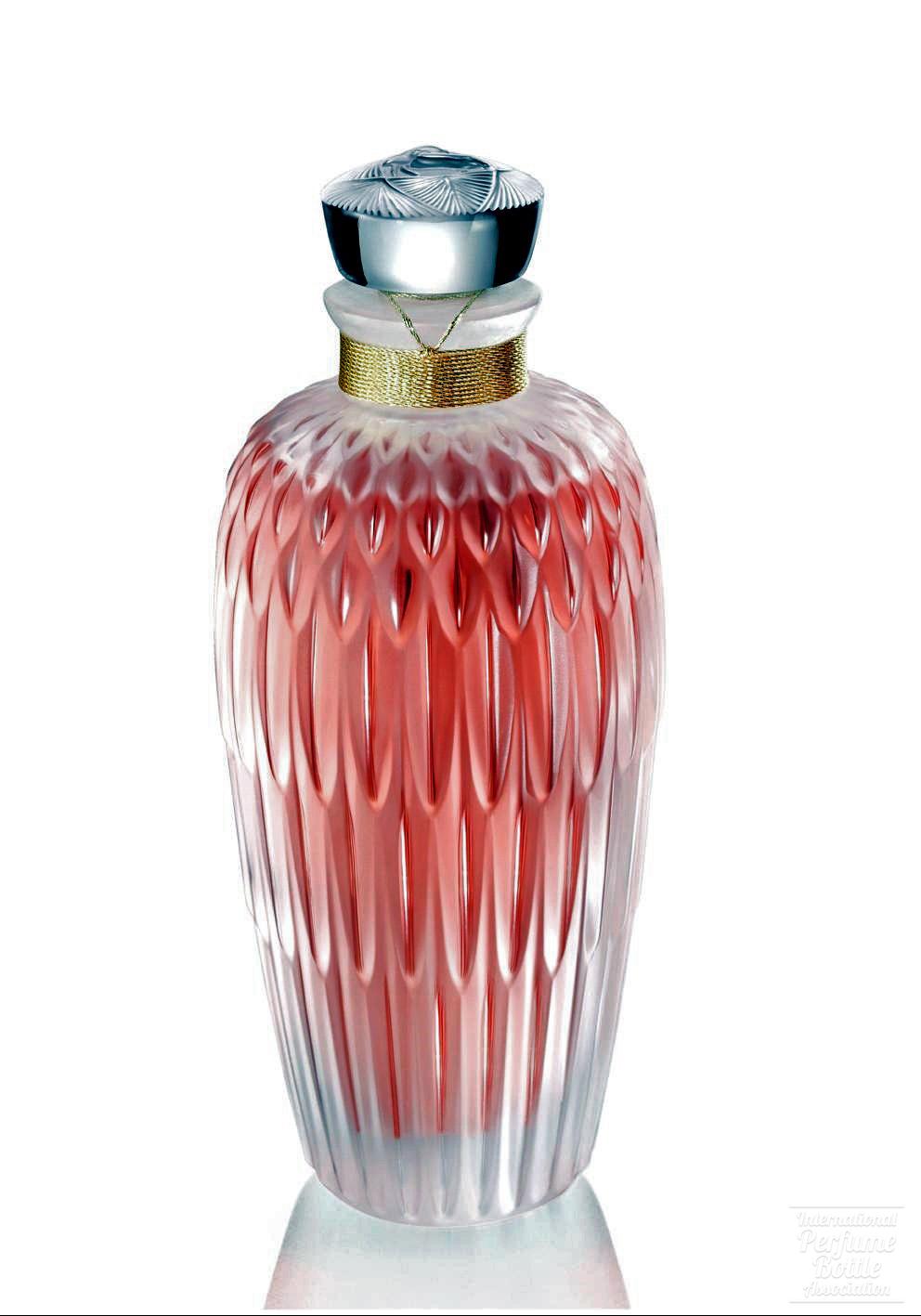 "Plume" Limited Edition - 2015