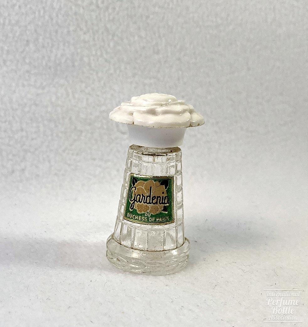 "Gardenia" by Duchess of Paris