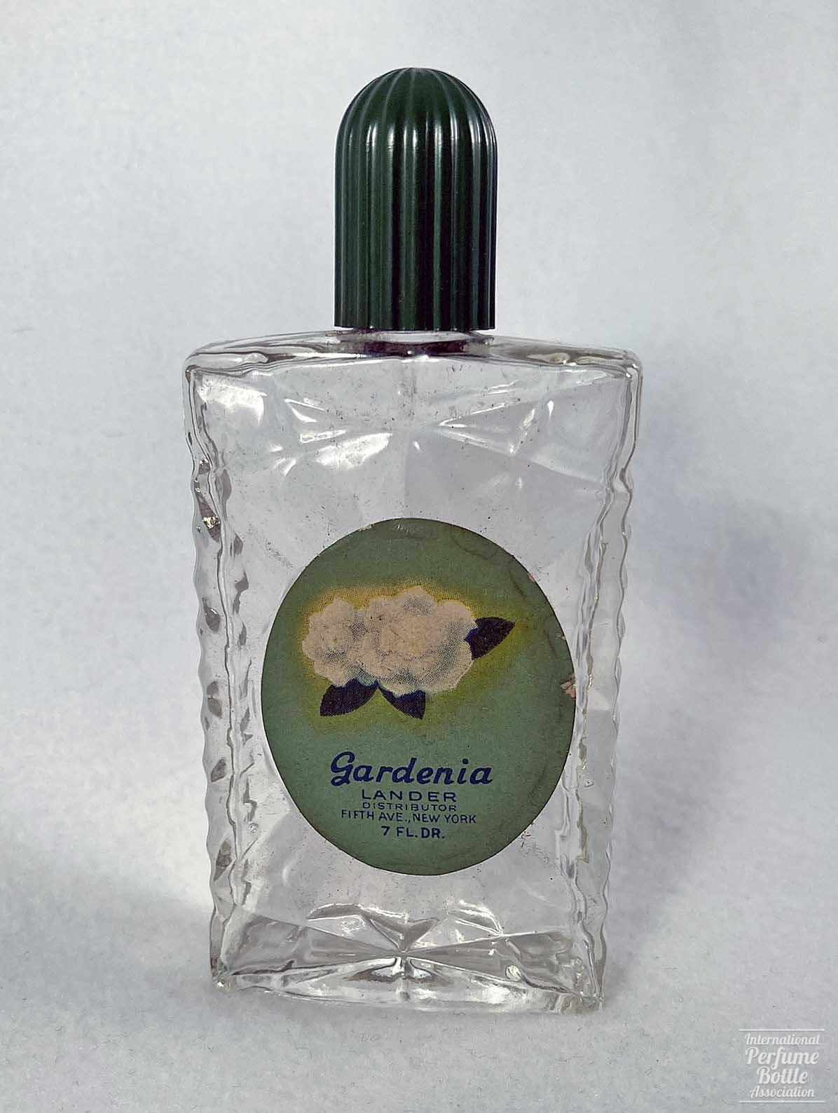 "Gardenia" by Lander