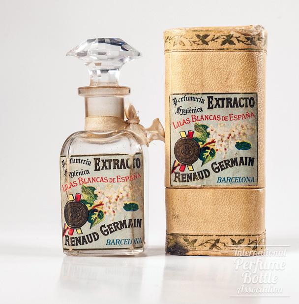 "Lilas Blancas de España" by Renaud Germain