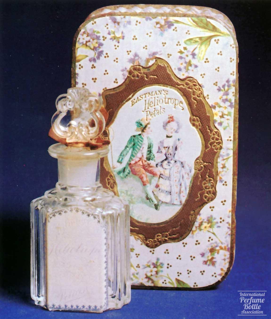 "Heliotrope Petals" by Eastman's