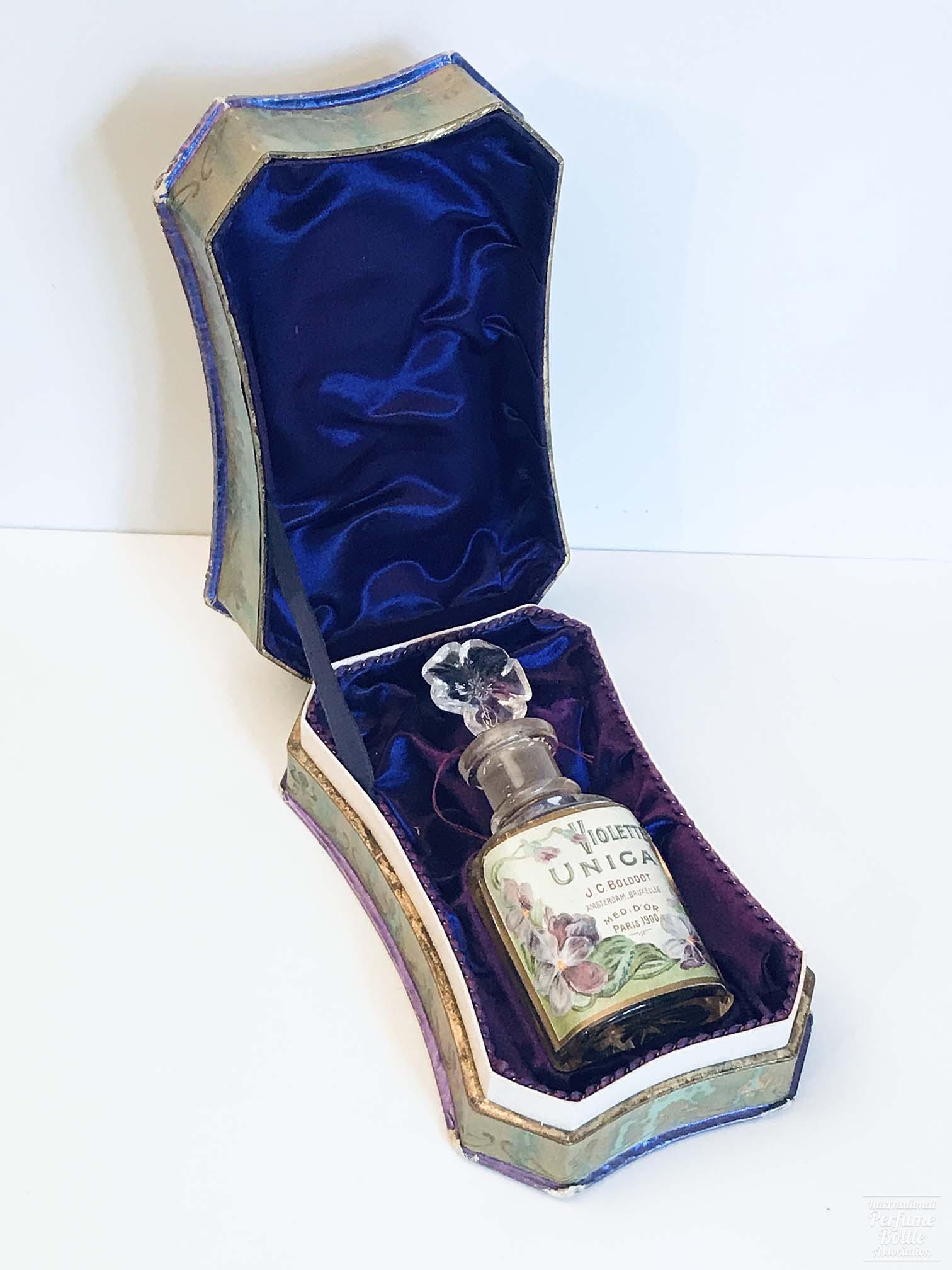 "Violette Unica" by Boldoot