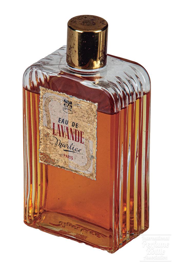 "Eau de Lavande" by Marlice