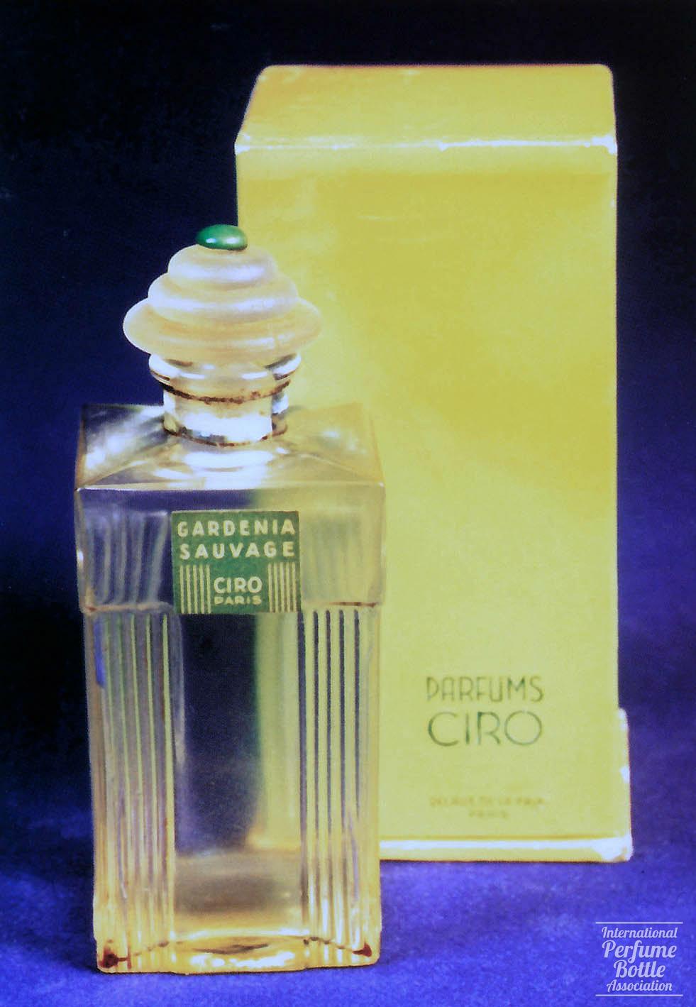 "Gardenia Sauvage" by Ciro