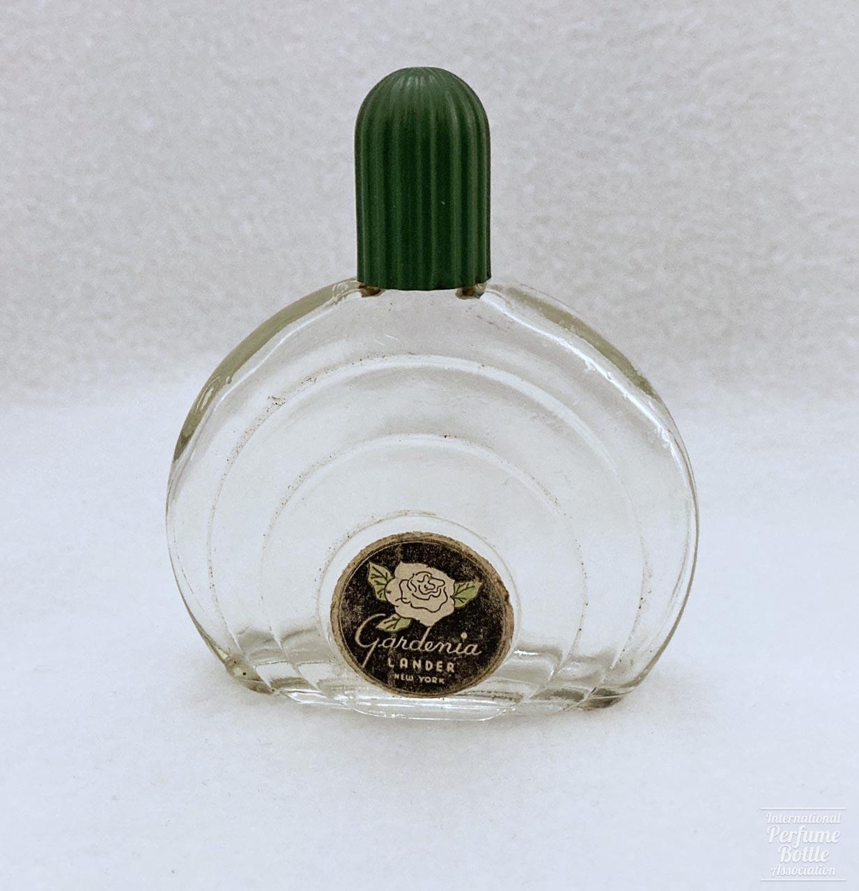 "Gardenia" by Lander